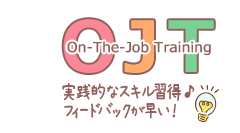 配属先でのOJT