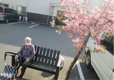 桜の花と