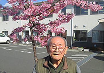 桜の花と