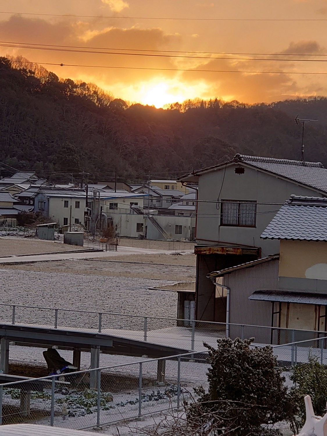 上安井からの初日の出