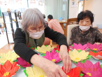 ポインセチアの花が咲きました♪