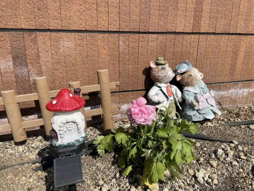 春の訪れを感じるひととき