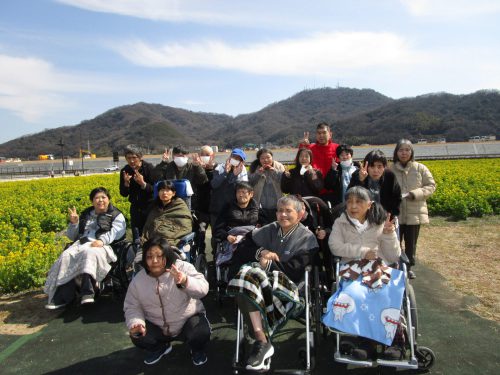 🌼菜の花ドライブ🌻