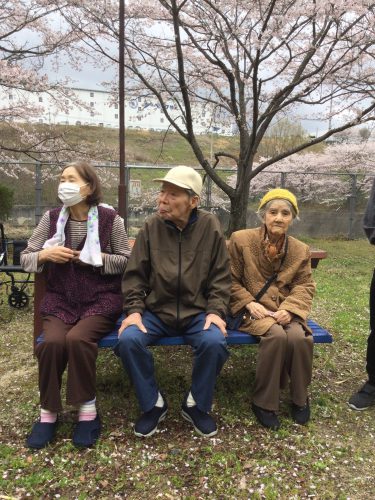 お花見ドライブ🌸